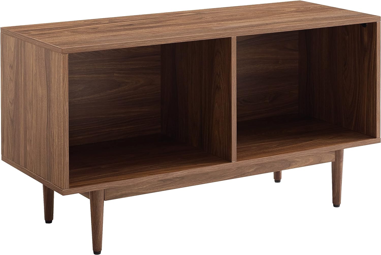 Mid-Century Walnut Record Storage Console Cabinet – Vinyl Organizer