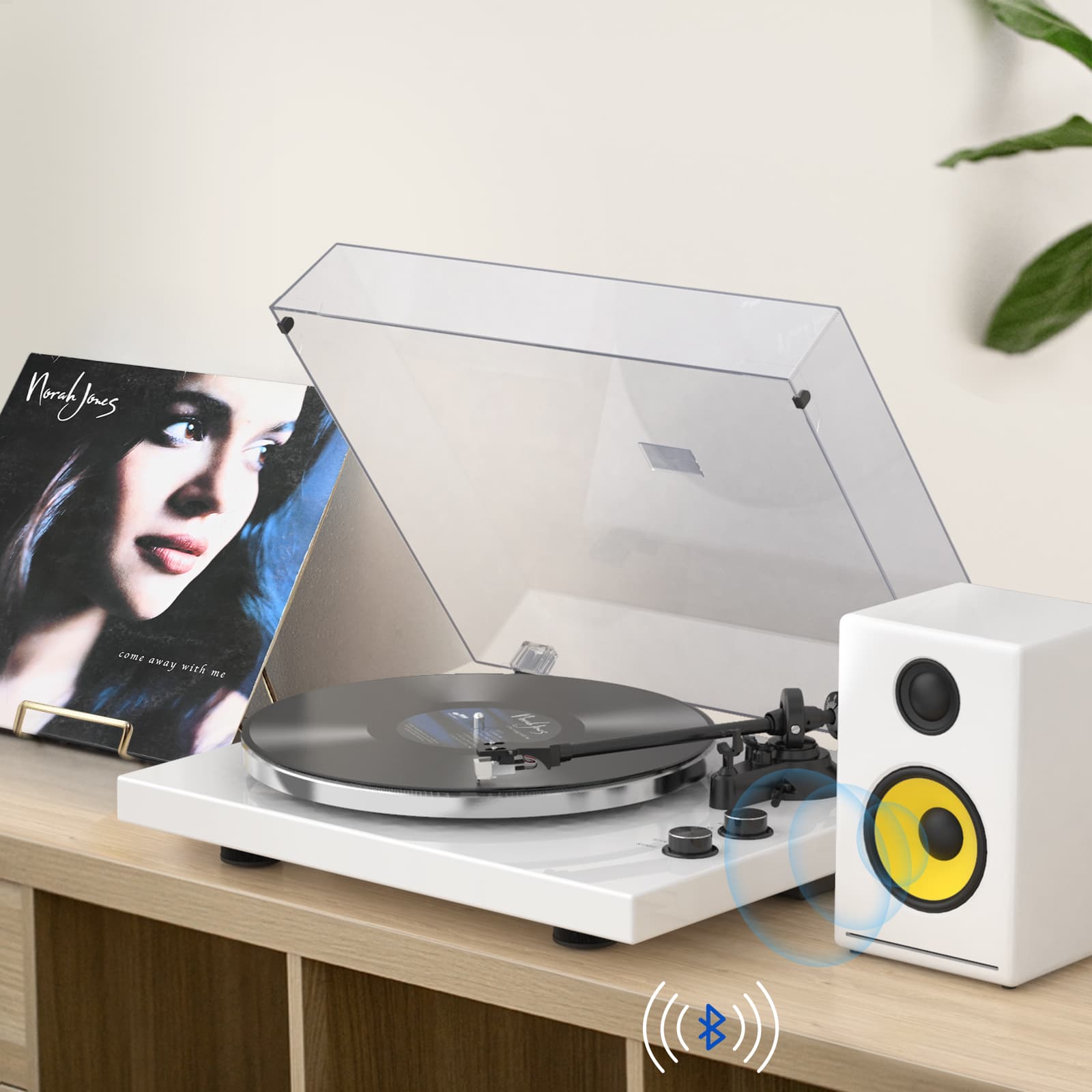 HQKZ-006 High Fidelity Turntable with Sanyun Bluetooth 80W Dual-mode Active Speakers