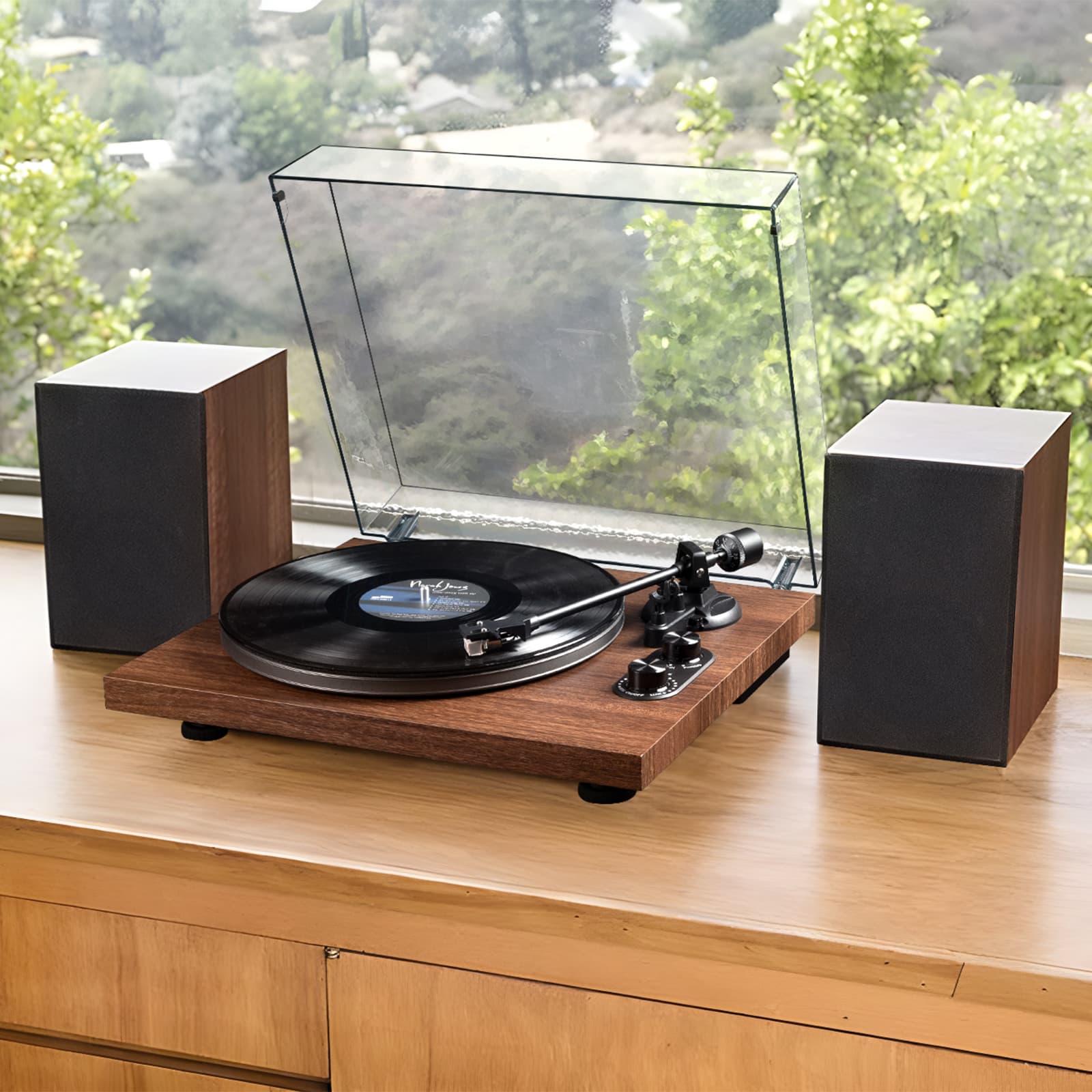 The UD006 Audiophile-level Home Bluetooth Hi-Fi Vinyl Record Player Audio Set